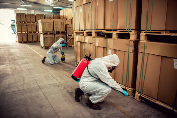 Pest Prevention Services in Gaston, SC