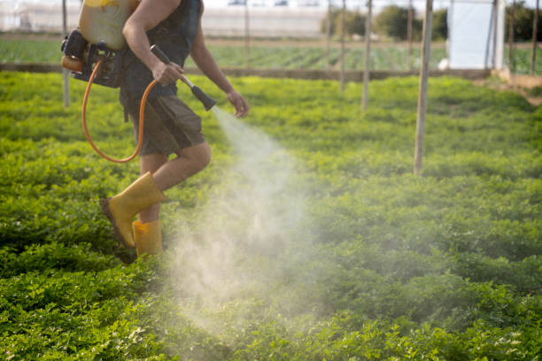 Best Wildlife Control Services  in Gaston, SC