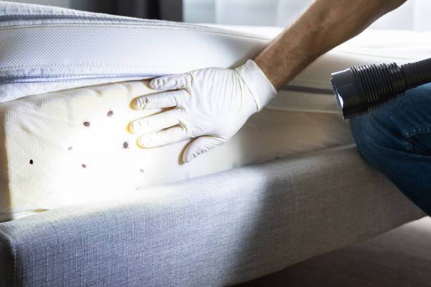 Best Bed Bug Extermination  in Gaston, SC