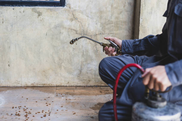 Best Wasp Removal Services  in Gaston, SC